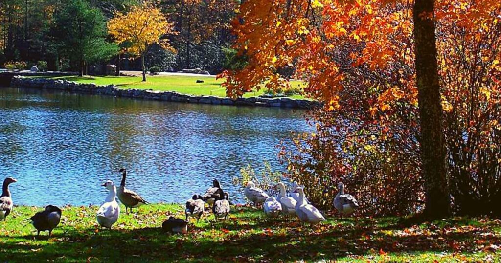 Highlands - Best Small Towns in North Carolina